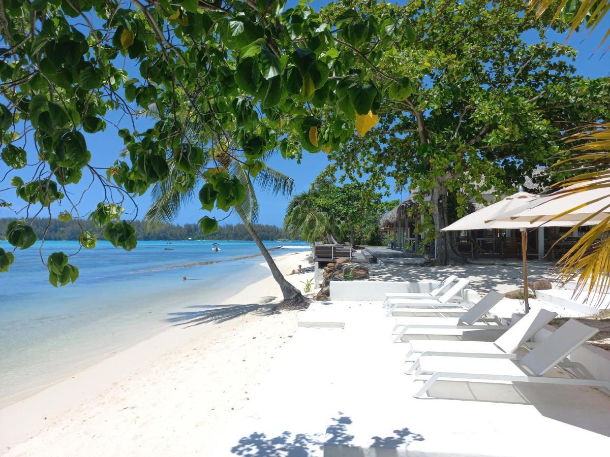 Moorea Island Beach Hotel Eksteriør bilde