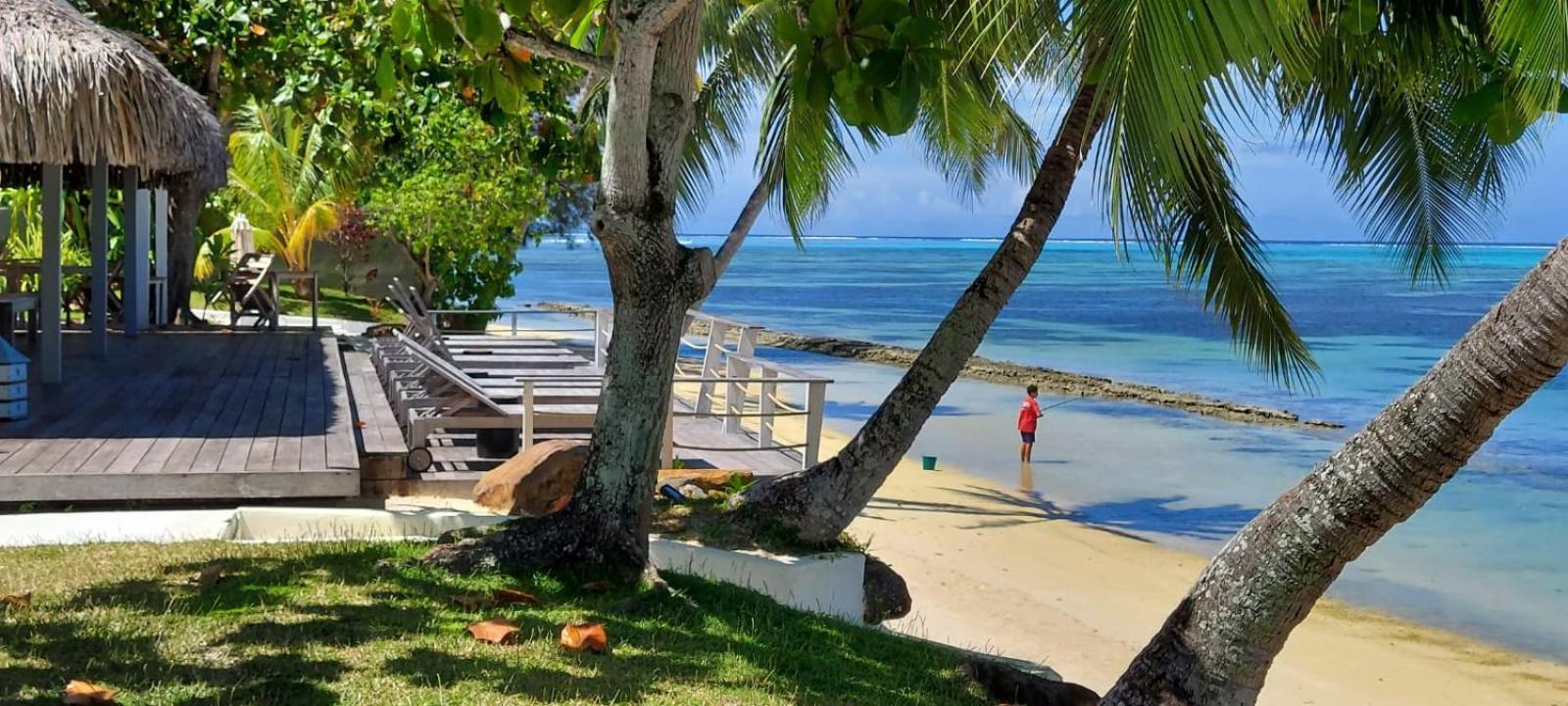 Moorea Island Beach Hotel Eksteriør bilde