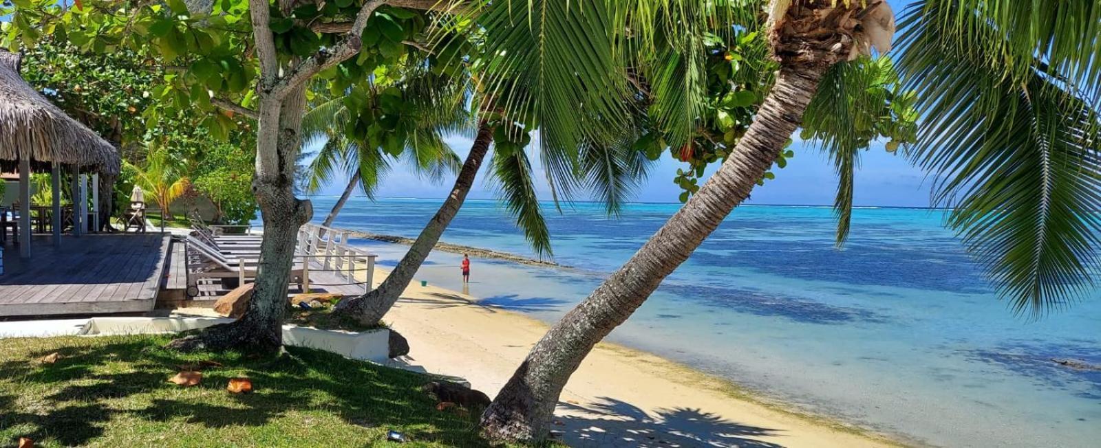 Moorea Island Beach Hotel Eksteriør bilde