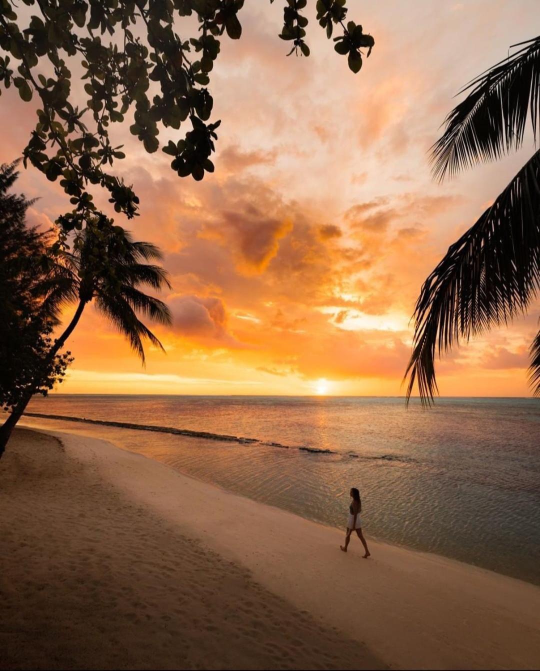 Moorea Island Beach Hotel Eksteriør bilde